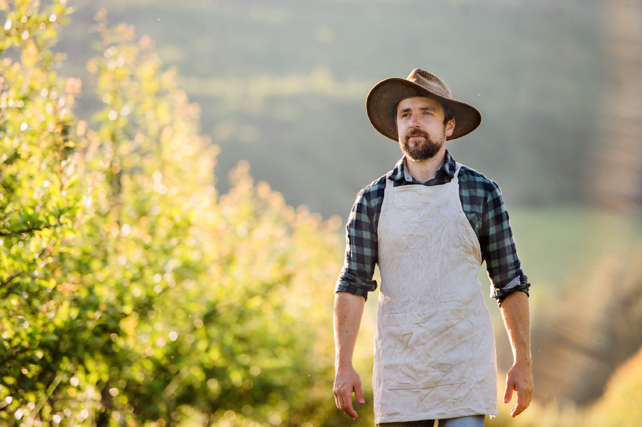 Your supplier is Rainforest Alliance certified. You’re covered, right?