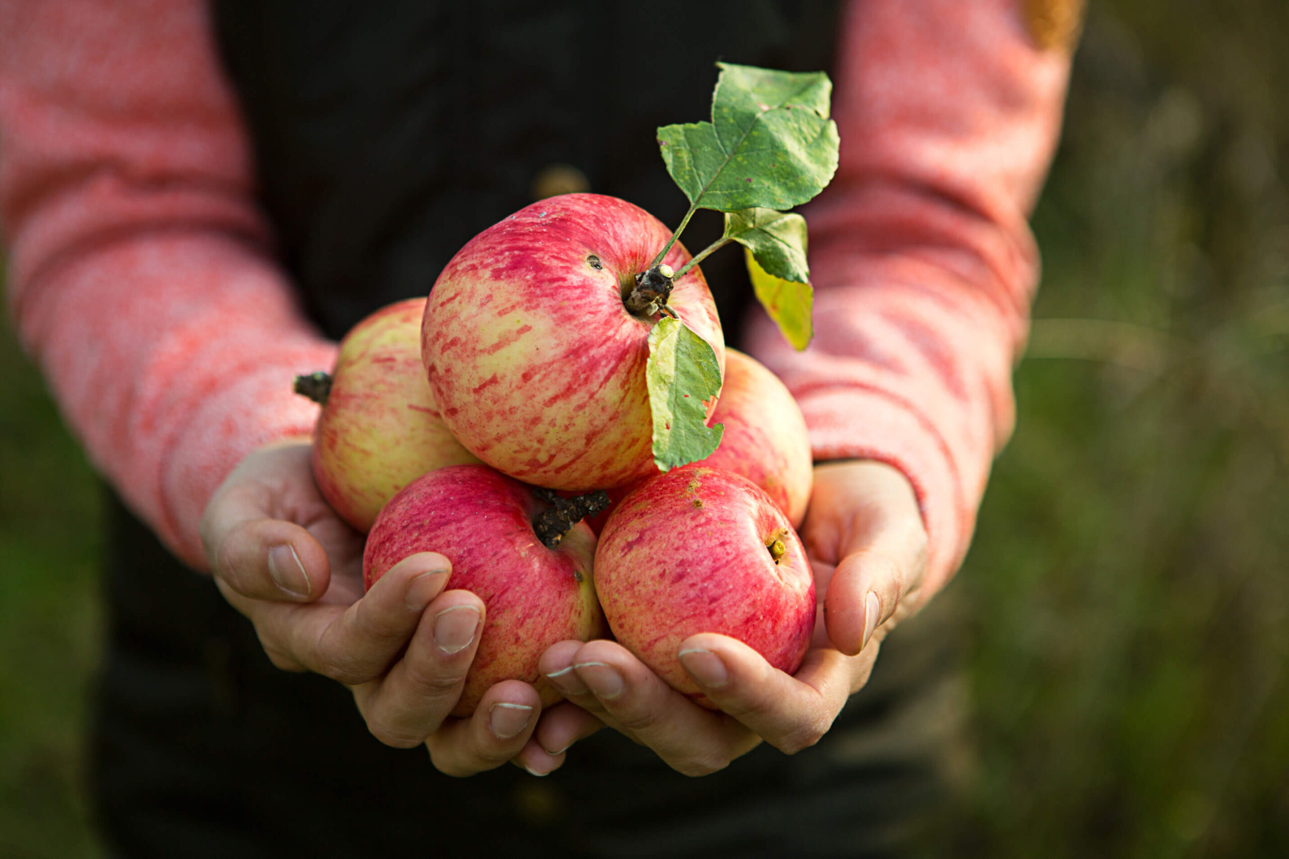 The Hidden Cost of Choosing the Wrong Certification