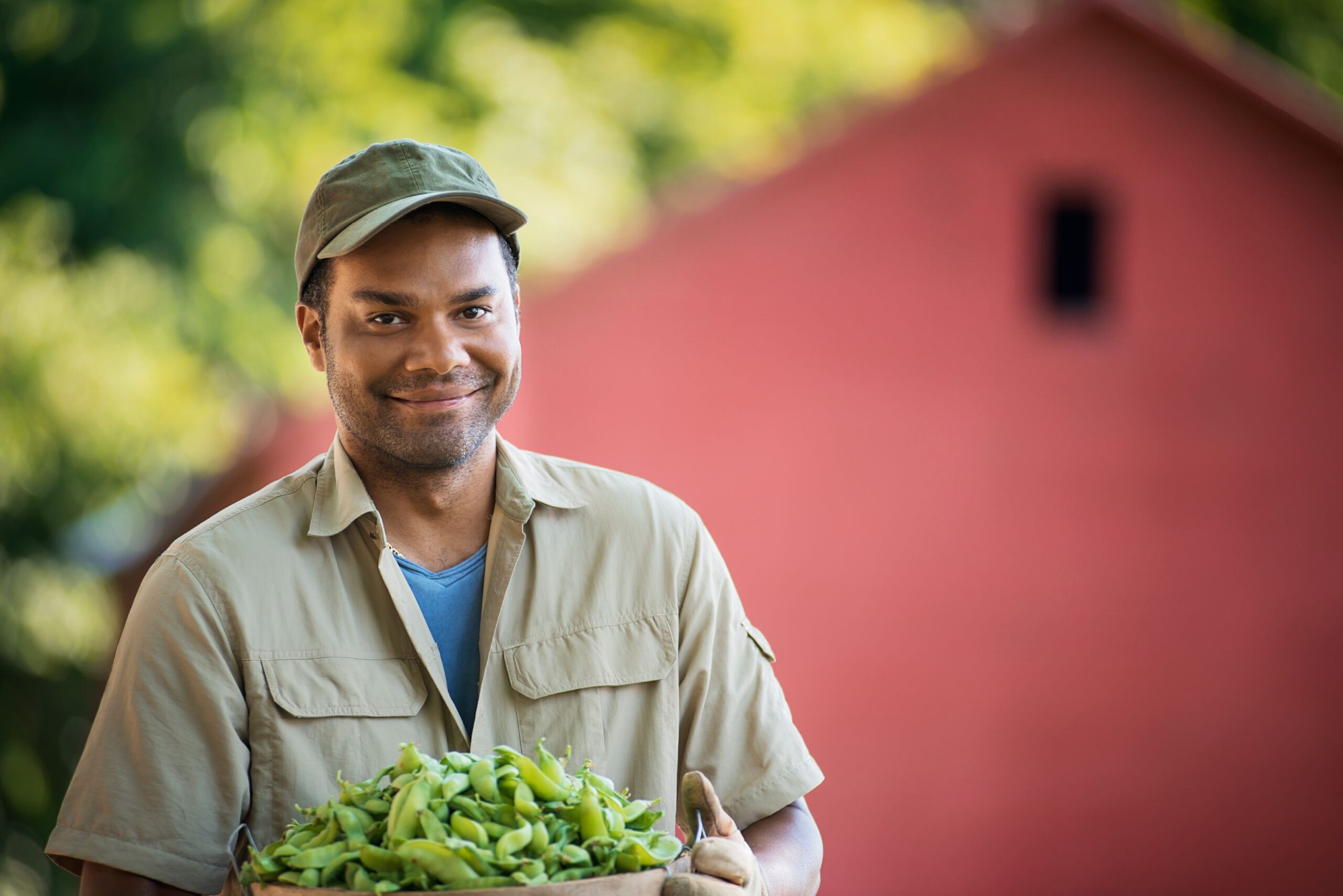 Guide to Scaling Regenerative Agriculture: From Pilots to Procurement